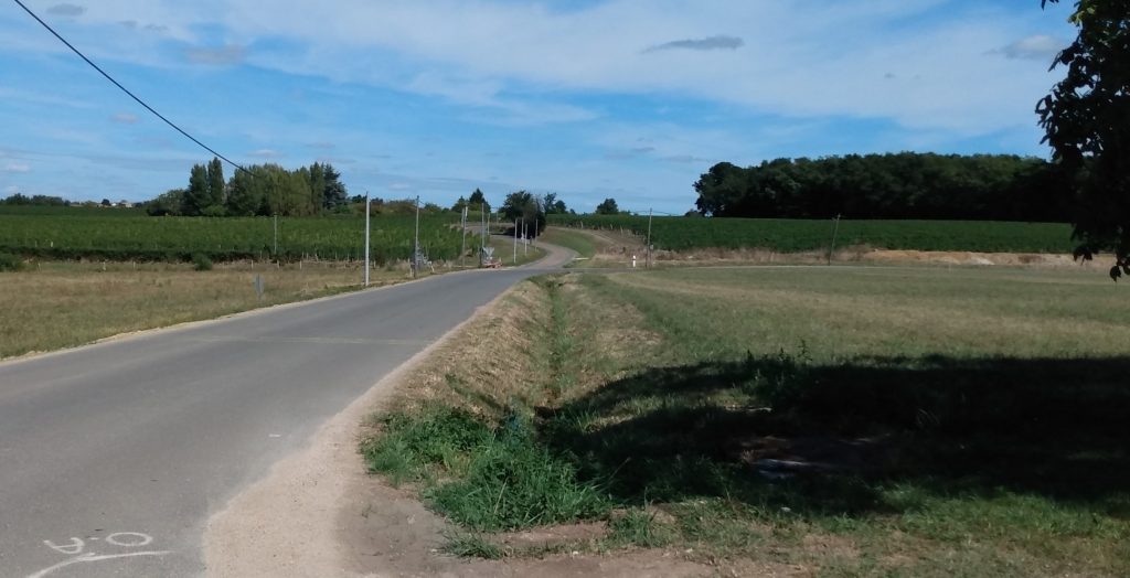 Paysage au bord des vignes