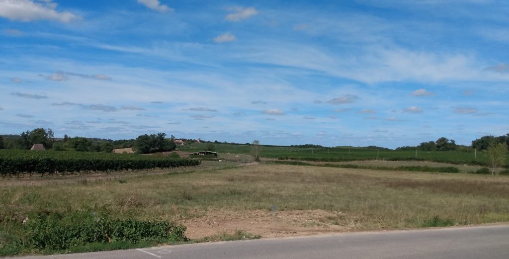 Paysage du vignoble de l'Entre-deux-Mers