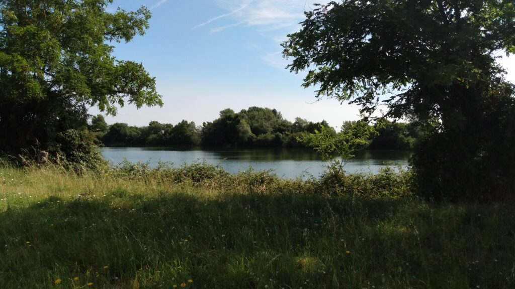 Photo prise le 17 juillet 2024 au bord de l'un des étangs de Blanquefort.