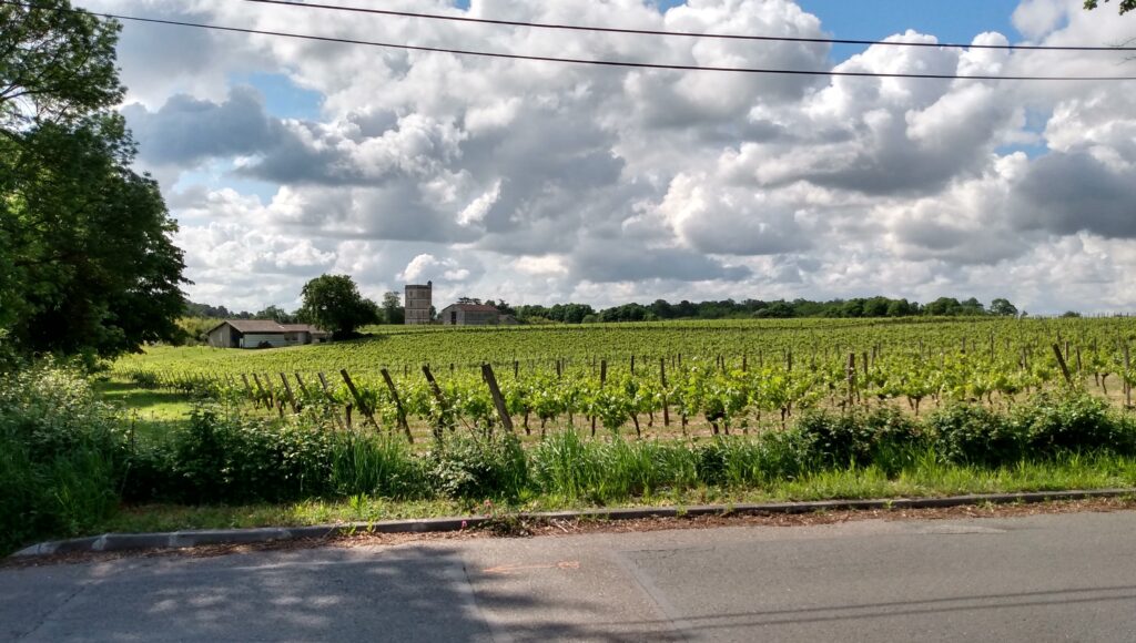 Photo prise le 12 mai 2023 à Carignan-de-Bordeaux.