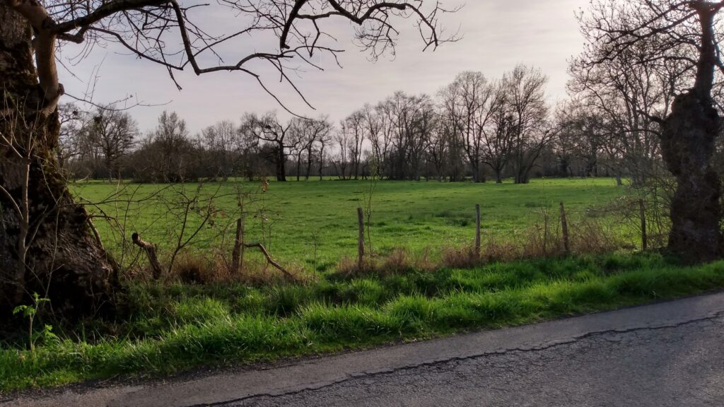 Photo des environs d'Izon prise le 20 mars 2023.