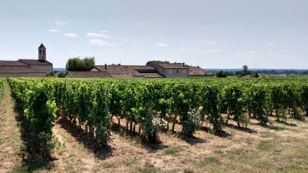 Photo prise le vendredi 2 août 2024 à Saint-Emilion