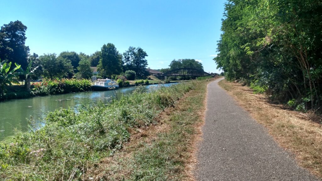 Photo prise le long du canal de la Garonne le vendredi 16 août 2024.