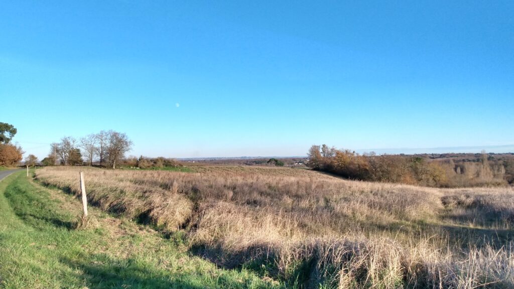 Photo prise le 12 décembre 2024 dans la campagne de l'Entre-deux-Mers.