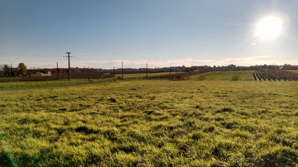 Photo prise près de Libourne le 12 décembre 2024.