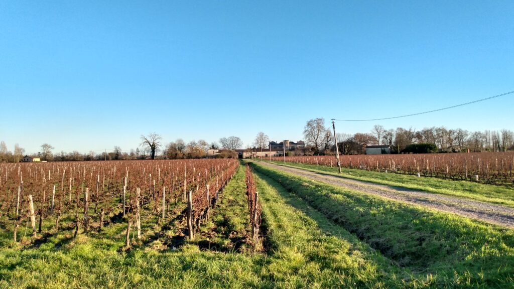 Photo prise sur les bords de la Dordogne le 12 décembre 2024.