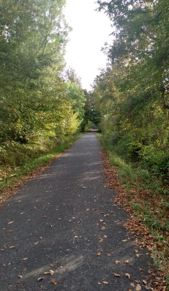 La piste cyclable 805 entre La Brède et Cabanac-et-Villagrains