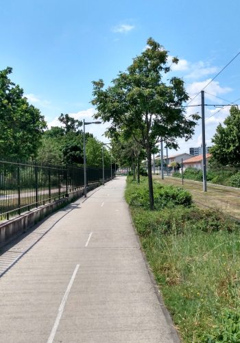 Photo de la piste cyclable longeant la ligne B du tram à Bègles.