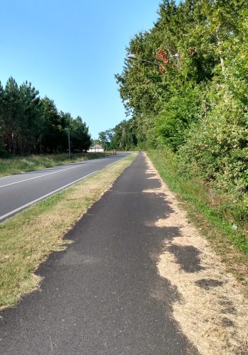 Photo prise près de Léognan le 22 juillet 2023.