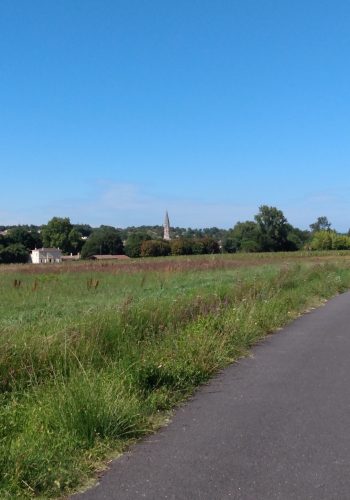 Photo prise le 11 août 2023 près de La Brède.