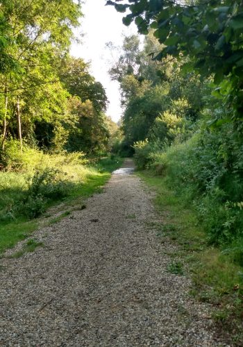 A la belle saison, le chemin de la Bardasse est un lieu parfait pour rouler en gravel.