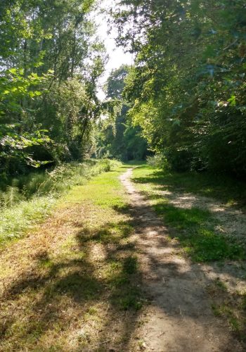 Avant d'arriver dans le bas de Bouliac, vous poursuivrez sur le chemin de Mont-Jouan.