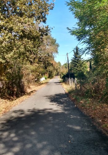 Une petite rue que vous emprunterez près de Caychac