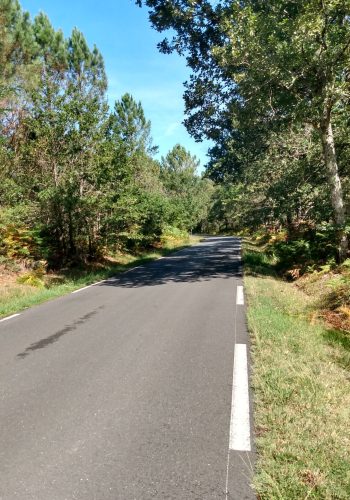 La petite route de notre itinéraire à la sortie du Pian-Médoc