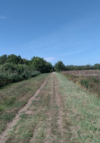 Le large chemin que vous trouverez pour la quitter