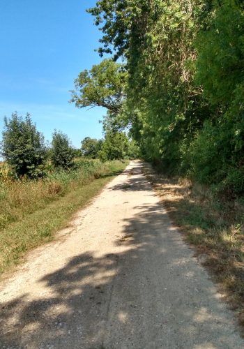 La piste de la troisième portion dédiée au gravel de notre itinéraire