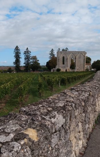 Photo prise le 23 septembre 2023 à Saint-Emilion