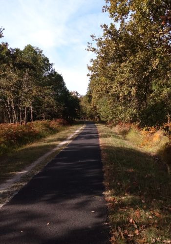 La piste cyclable 801 quelques kilomètres avant Salaunes