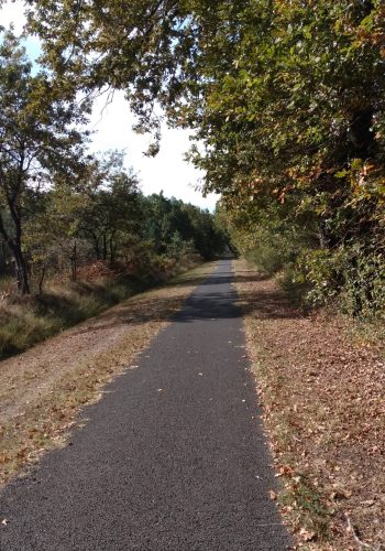 La piste cyclable 801 en direction de Sainte-Hélène