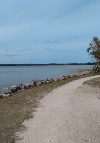 Le lac de Lacanau depuis la promenade de son petit port de plaisance.