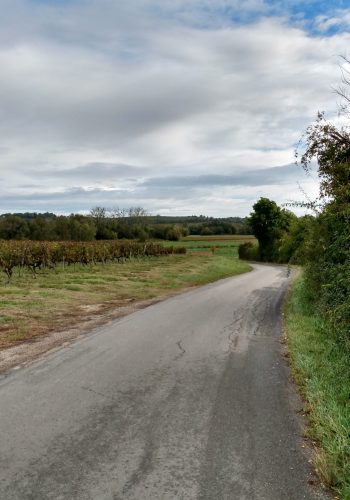 Photo d'une route de campagne à Portets prise le 28 octobre 2023.