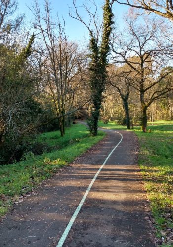 Un coin de verdure sur la piste cyclable de Pessac