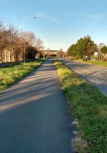 Photo prise un après-midi d'hiver à Mérignac.