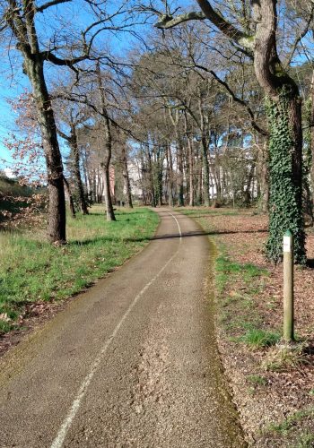 Photo de la piste cyclable reliant le campus à la ville de Pessac.