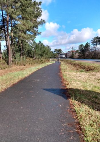 Photo de la piste cyclable qui longe la RD à Mérignac