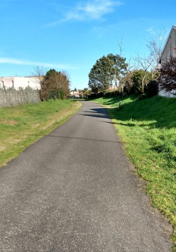 Photo de la piste cyclable Bordeaux - Lacanau sous le soleil.