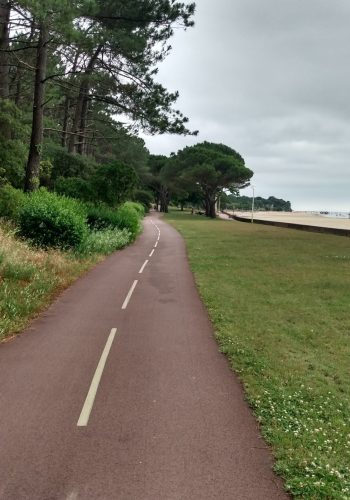 Photo de la piste cyclable du Parc Péreire prise le 23 juin 2024.