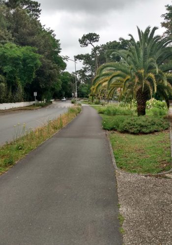 Photo prise le 23 juin 2024 au Pyla-sur-Mer.