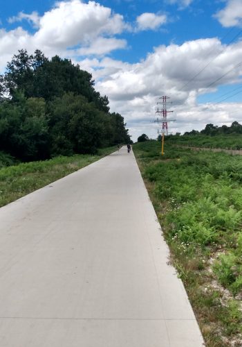 Photo prise le 7 juillet 2024 sur l'allée Charles Darwin de Pessac.