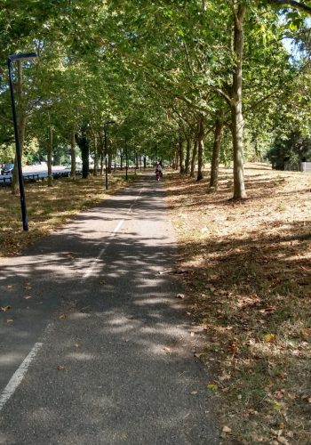 Photo prise sur la piste cyclable de l'allée de Boutaut le 17 juillet 2024.