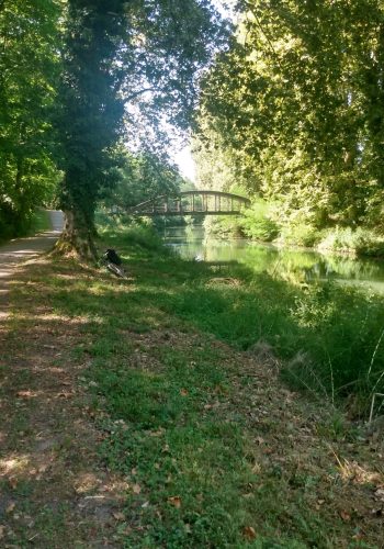 Photo prise le 16 août 2024 sur le canal de la Garonne