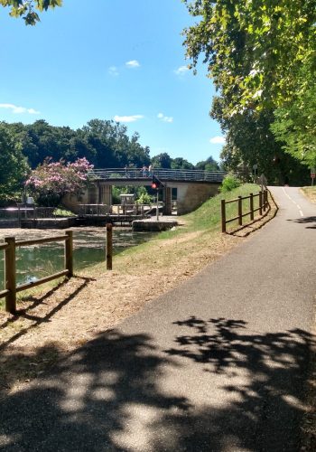 Photo prise le 21 août 2024 au niveau d'une écluse du canal latéral de la Garonne.