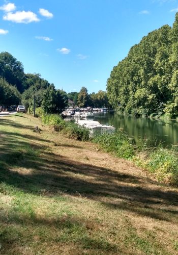 Photo prise le 21 août 2024 au bord du canal latéral à la Garonne.