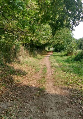 Photo prise le 20 septembre 2024 près de Pompignac.