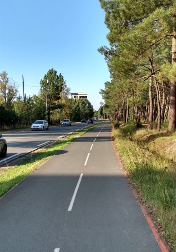 Photo prisse sur la piste cyclable au bord du lac de Bordeaux.