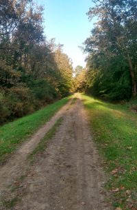 Photo prise le 29 octobre 2024 dans le parc naturel communal du Pian-Médoc.