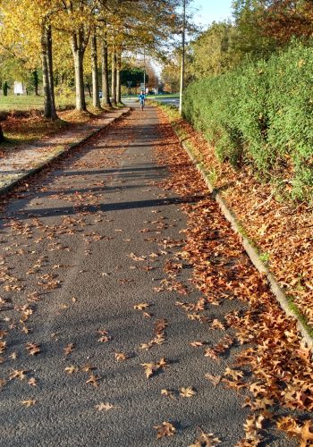 Photo prise sur la piste cyclable de l'avenue Mendès-France de Pessac le 11 novembre 2024.