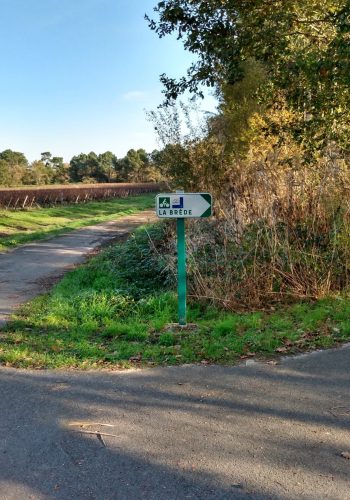 Photo prise sur la voie partagée de Martillac à La Brède le 16 novembre 2024.