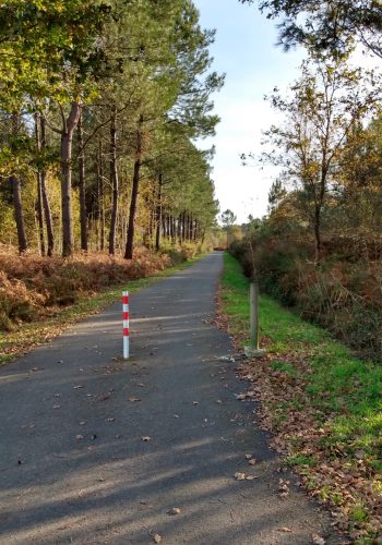 Photo prise à l'entrée de La Brède le 16 novembre 2024.