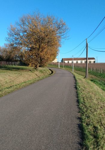 Photo prise dans l'Entre-deux-Mers le 12 décembre 2024.