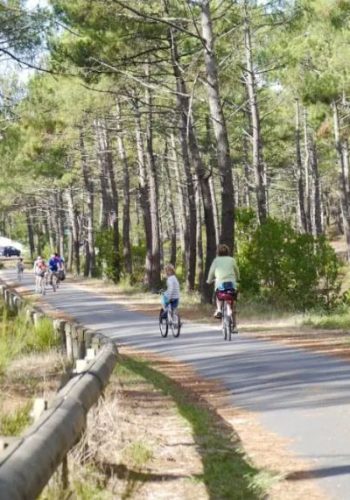 Photo de la piste cyclable Bordeaux - Lacanau.